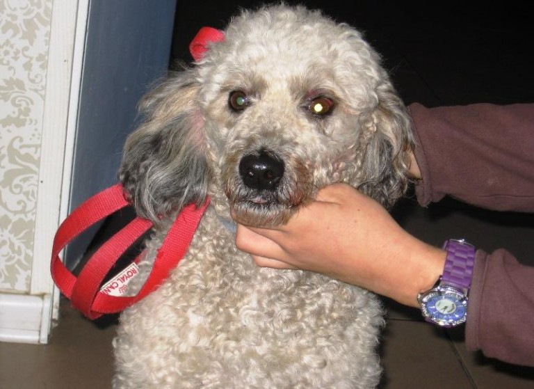 Potrącił go i uciekł