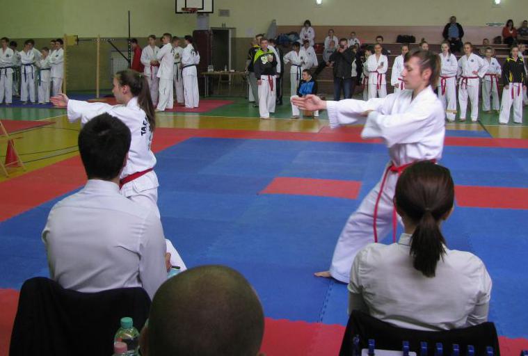 Wojownicy taekwon-do niezawodni