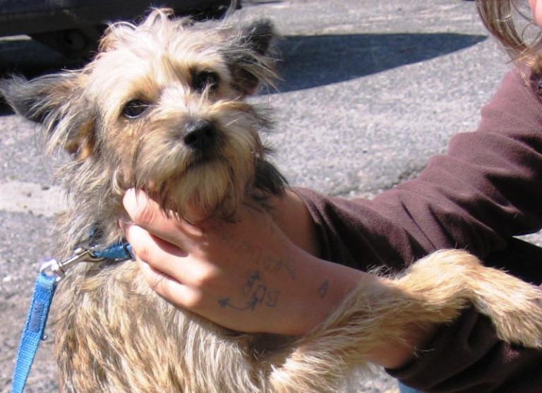 Pozostawiona na pastwę losu