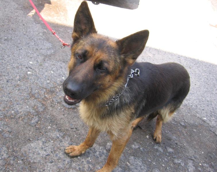 Prawdopodobnie uciekła (AKTUALIZACJA)