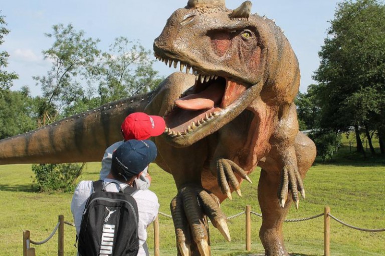 Niespodzianki w parku (AKTUALIZACJA)