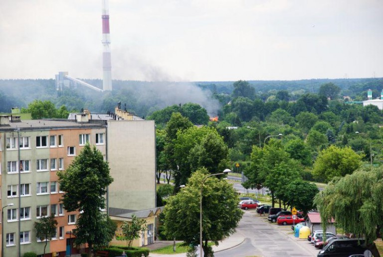 Pożar altanki na Przylesiu