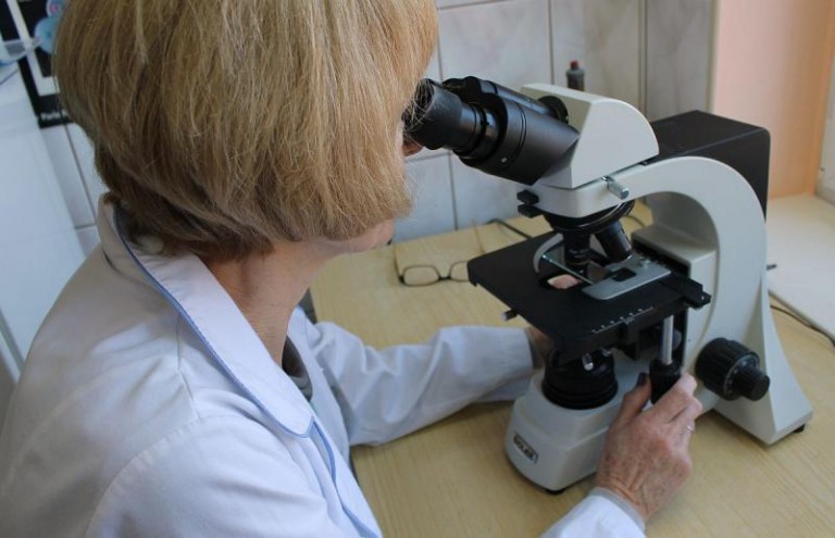 Grypa zastawia sidła