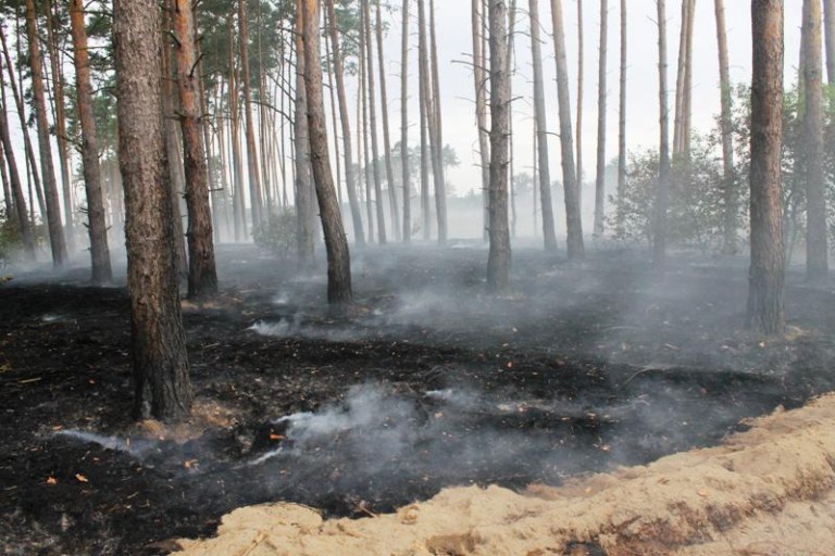 Setki tysięcy złotych poszły z dymem