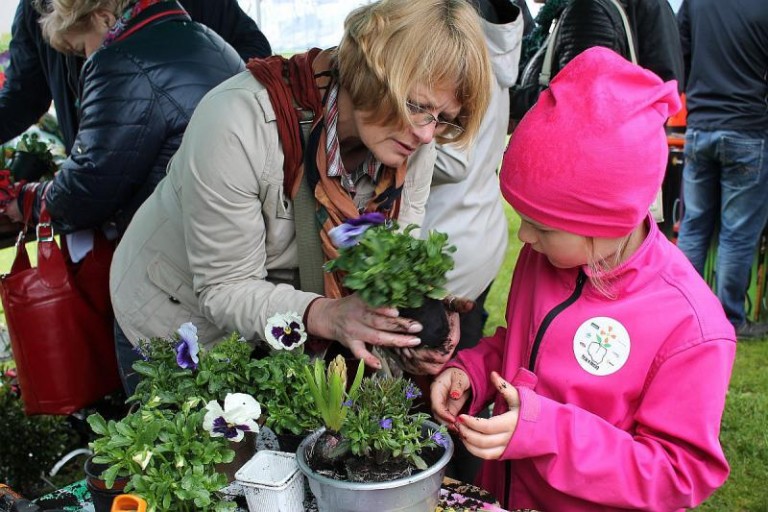 Lubinianie sadzą kwiaty