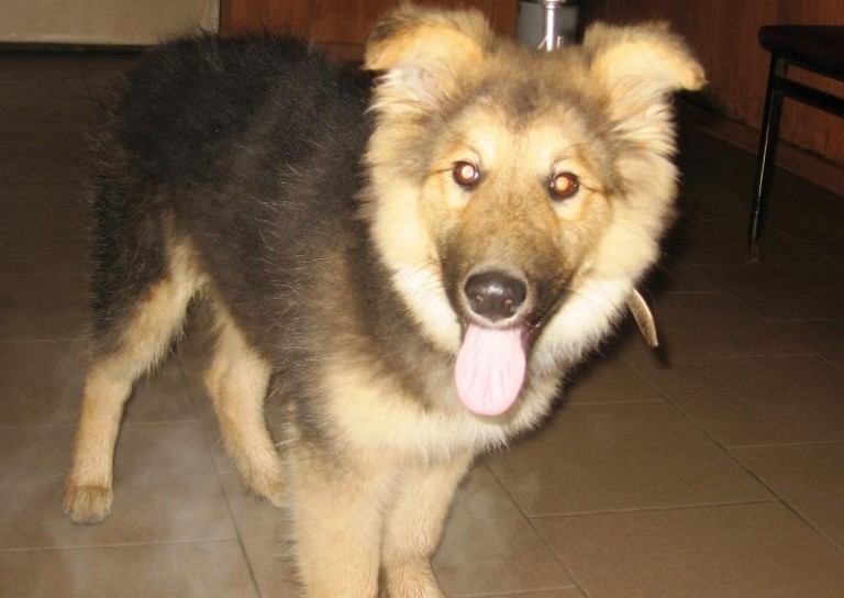 To ich ostatnia szansa