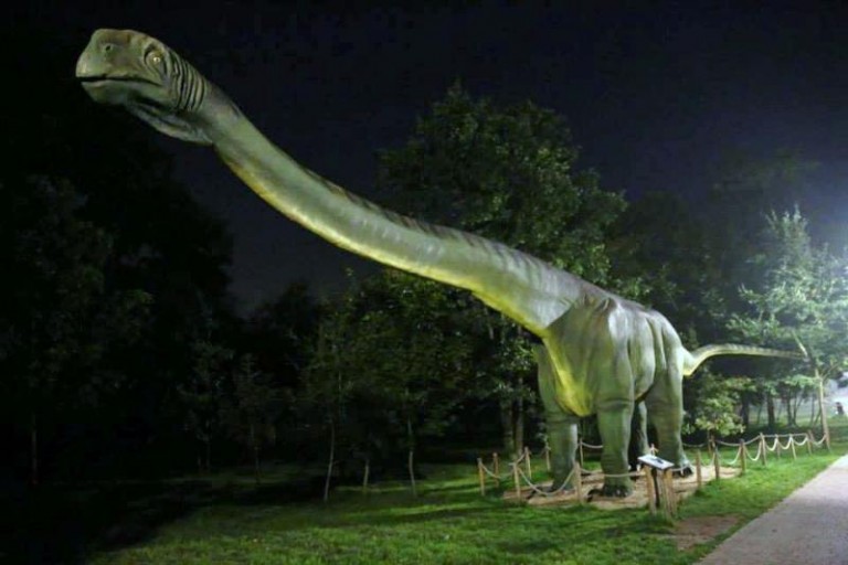 Już tej nocy park Wrocławski ożyje