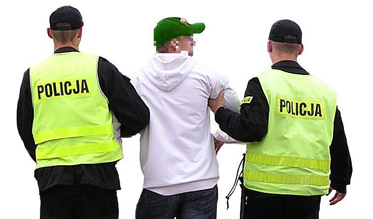 Kradli na zamówienie