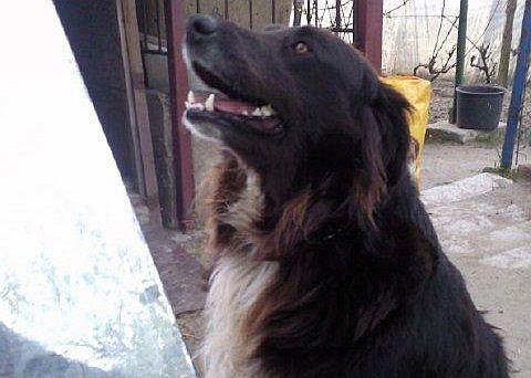 Będzie wspaniałym przyjacielem