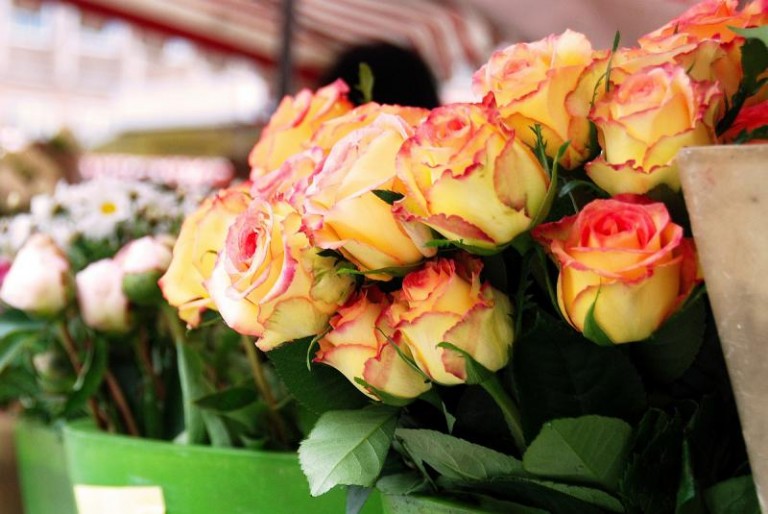 Chciał ukraść kwiaty, żeby podziękować