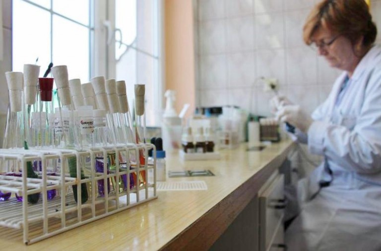 Znowu świńska grypa