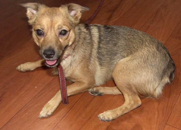 A Tosia ciągle czeka