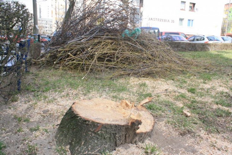 Lokatorzy: to tak jakby podciąć nam nogi!