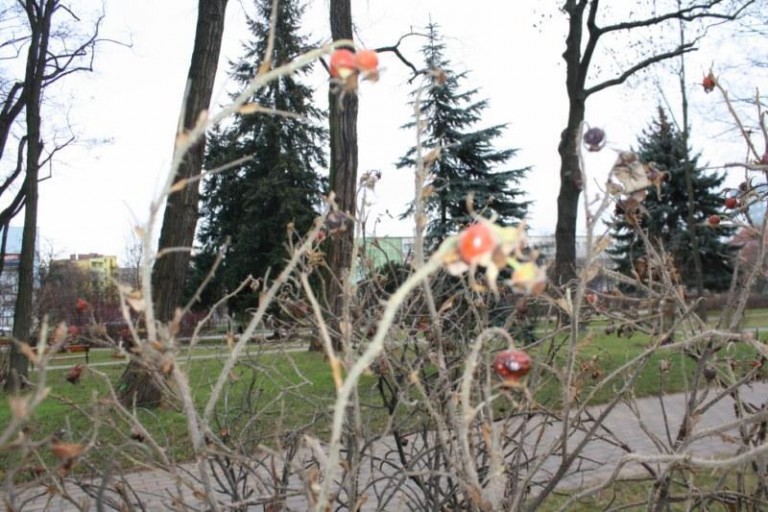 Cieplej i bez wiatrów