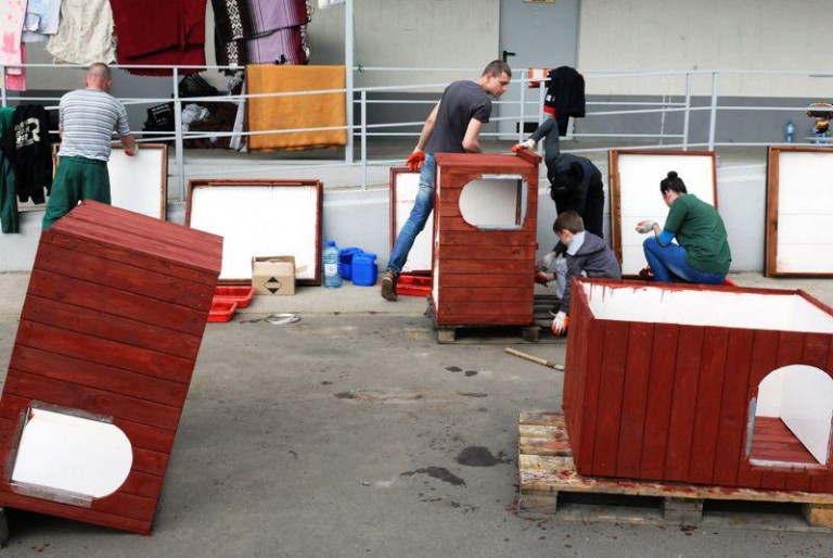 Potrzebny każdy, kto kocha zwierzęta