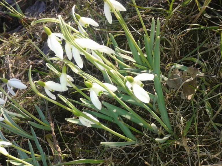 Ona tu jest. Kto ją widział?