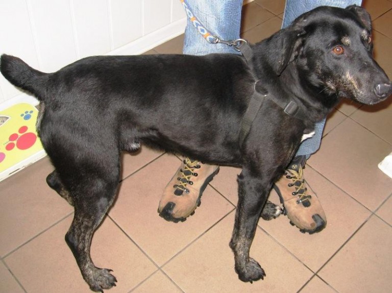 Cenna zdobycz dla myśliwych