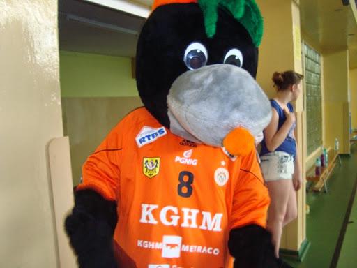 Akademia Małego Krecika