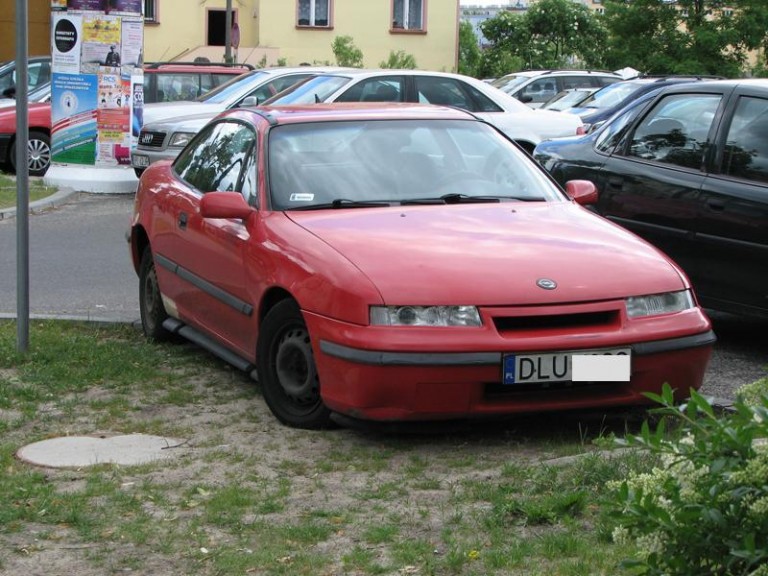 Stażnicy kontra źle parkujący