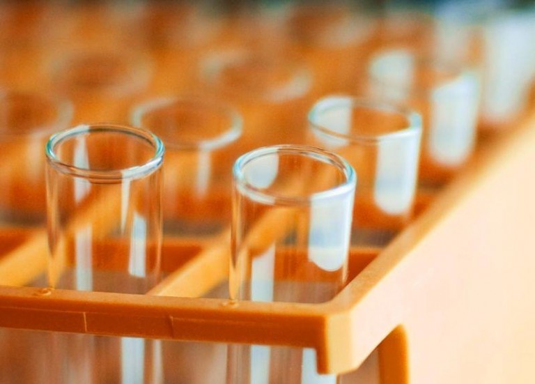 Już nie tylko świńska grypa