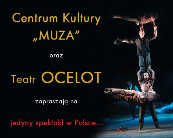 Akrobatyczny pokaz Ocelota