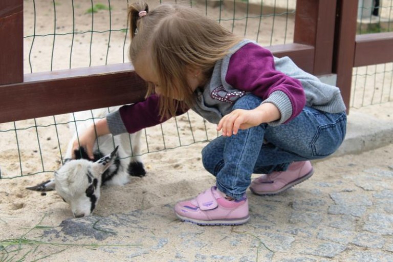 Całą rodziną do parku