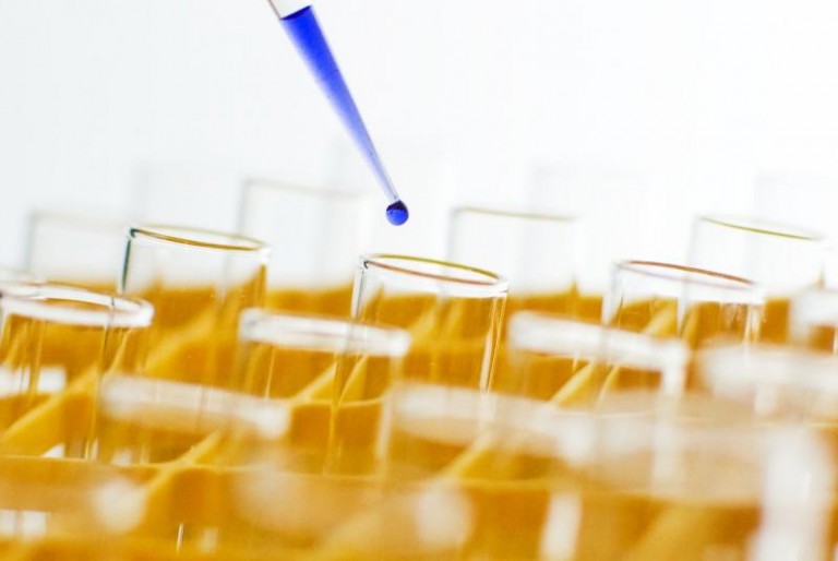 Z pęcherzem do sanepidu