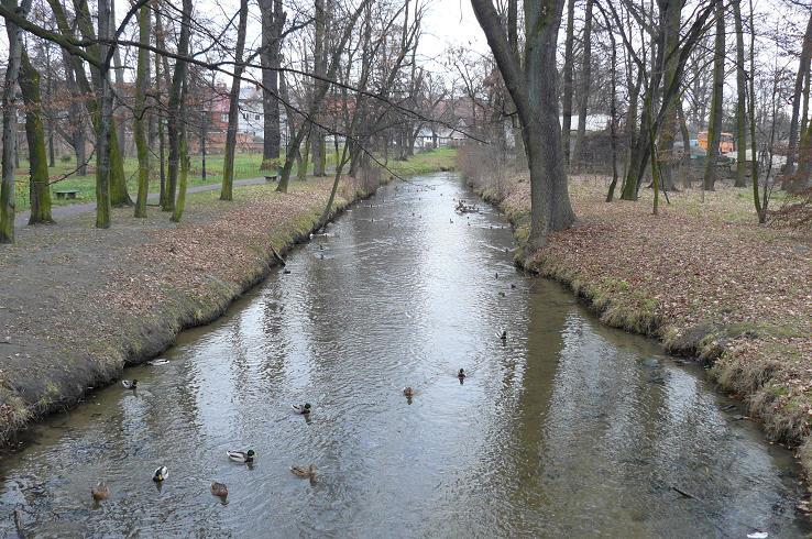 Zwłoki w rzece (AKTUALIZACJA)