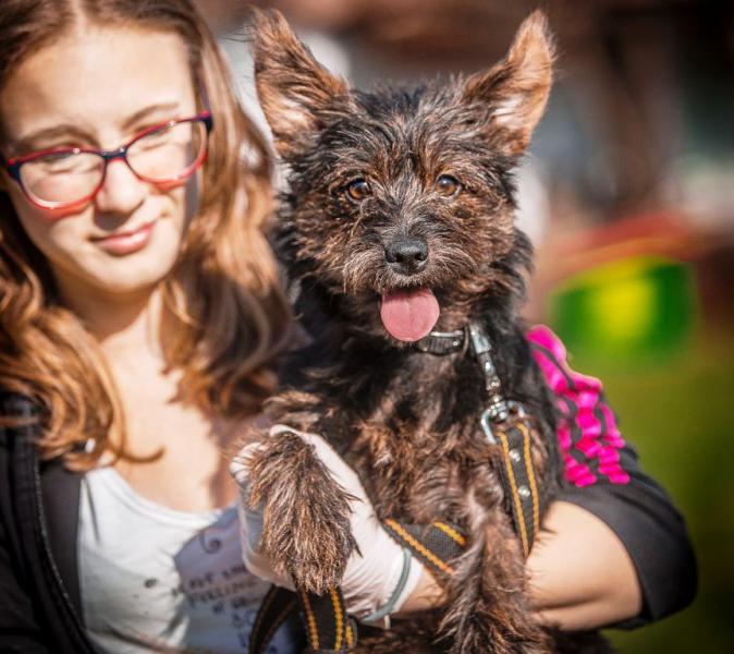 Nic, tylko je kochać