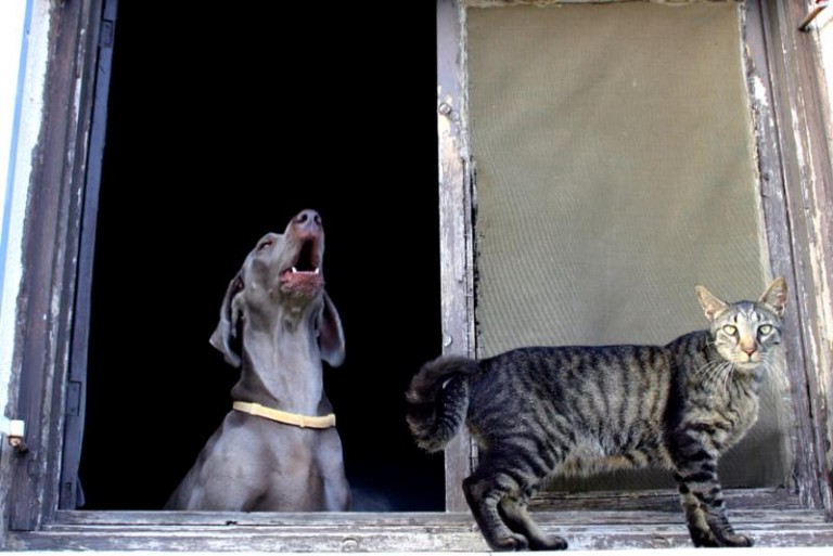 Race – dla jednych frajda, dla innych stres