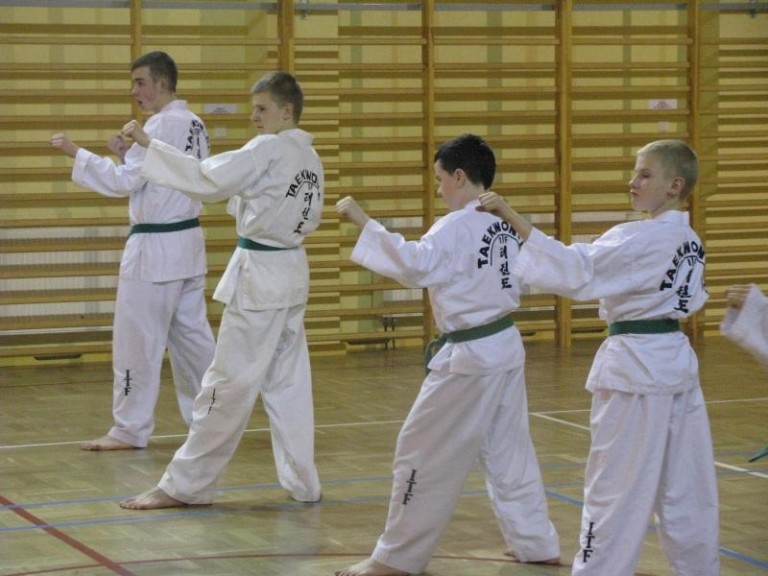 Walczyli o stopnie taekwon-do