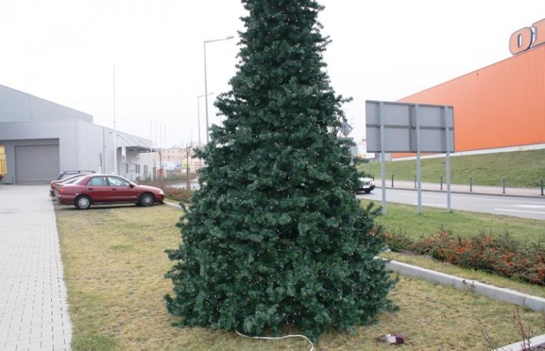Pierwsza choinka już stoi