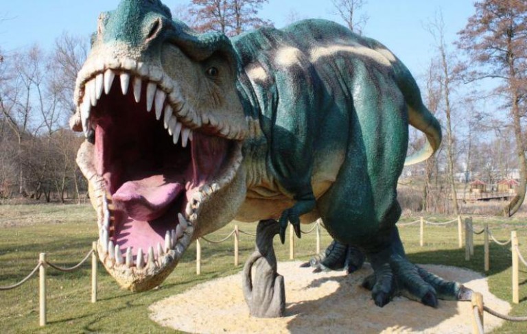 Uczcijmy dinozaura – konkurs