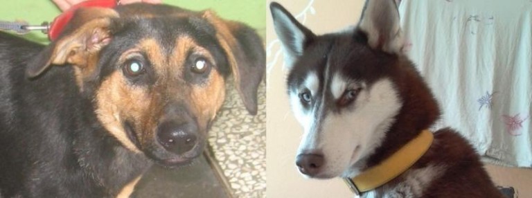 Porzucona i poszukiwana