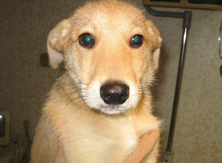 Biedak koczował pod klatką