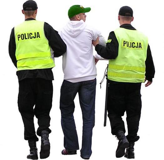 Pobił policjantkę, jest już na wolności