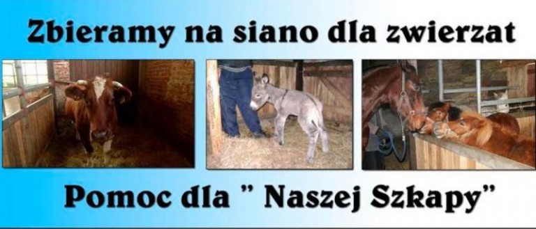 Ratują zwierzęta przed głodem
