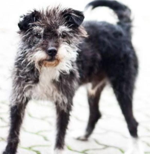 Lubinianka szuka swojej zguby