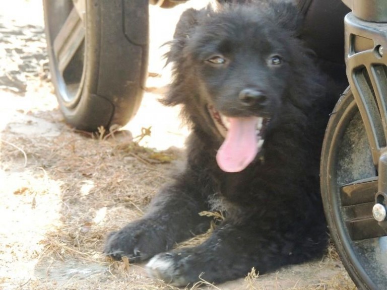 Brutalne rozwiązanie (AKTUALIZACJA)