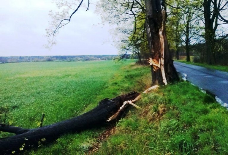 Uwaga, będą silne burze