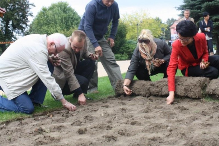 Żonkilami dziękują mieszkańcom (FOTO)