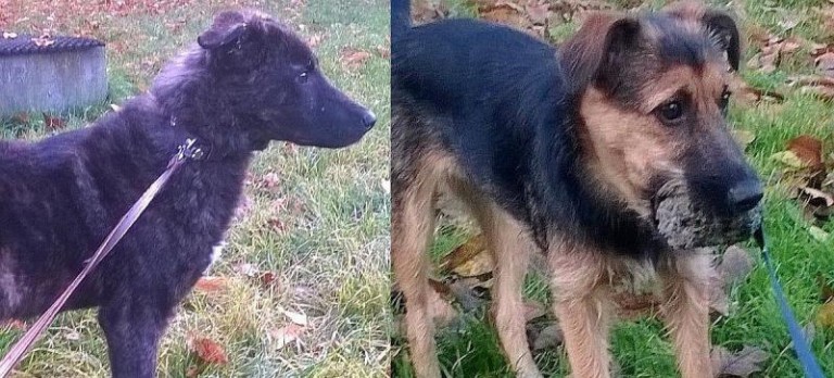 Czekają na uśmiech losu