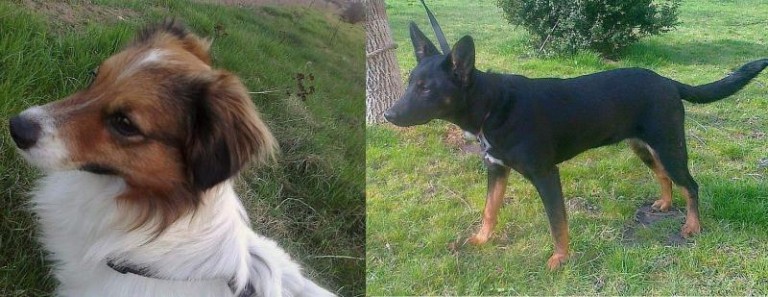 Czy ktoś ich szuka?