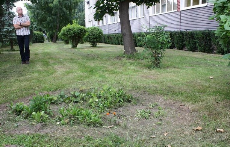 Spór o skrawek ziemi