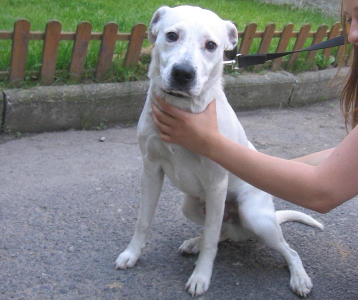 Cierpiał w słońcu