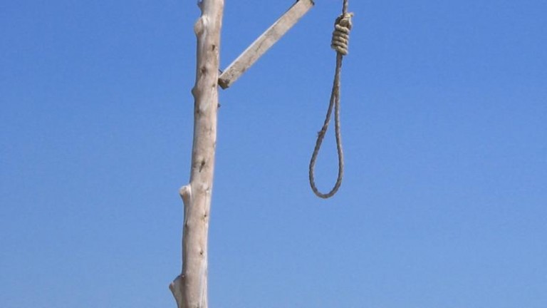 Samobójstwo w lesie