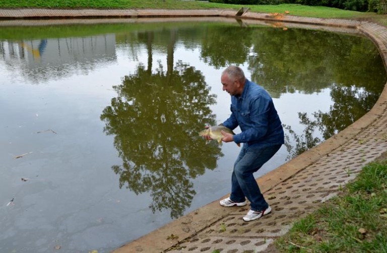 Czysta woda w stawie w Wądrożu