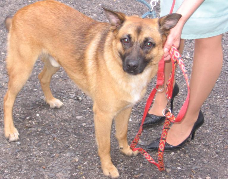 Biegał po szkolnym podwórku