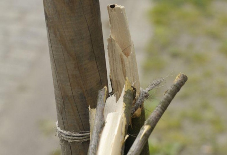 Wandale znowu w akcji