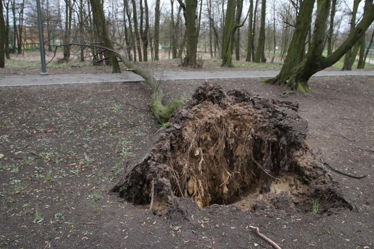 Park Wrocławski zamknięty